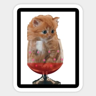 Kitten in Glass Sticker